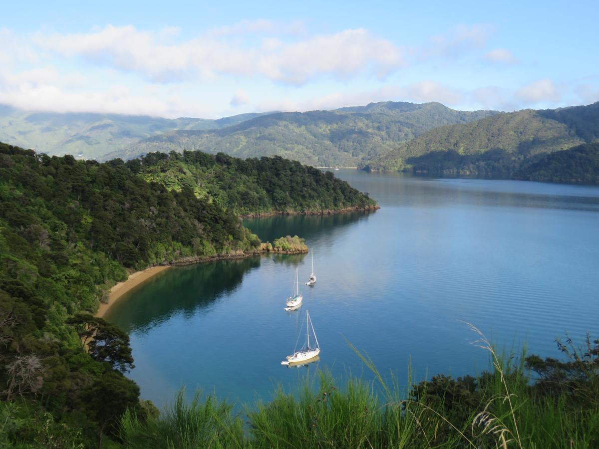 Waterfront Bed And Breakfast Picton Buitenkant foto